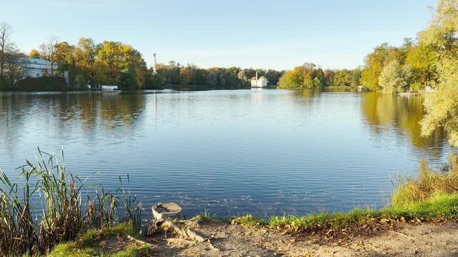 A calm lake reflects autumn trees. A smooth camera glides over the water in Catherine Park, Pushkin, Saint Petersburg, creating a peaceful and serene atmosphere.