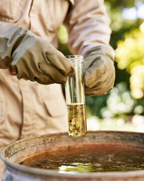 Environmental inspector wearing beige uniform and protective glove collecting mosquito larva water sample from outdoor container, focused disease surveillance work in sunlit garden setting