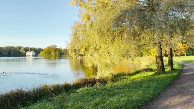 A scenic path winds along a tranquil lake. A smooth camera glides through Catherine Park, Pushkin, Saint Petersburg, inspiring pure calm and joy.