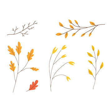 Autumn forest branch set features seasonal foliage elements in yellow orange colors for holiday crafts.