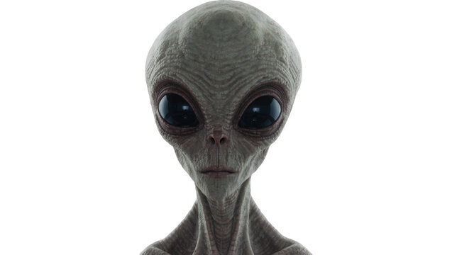 Grey alien head with large dark eyes, isolated on transparent background