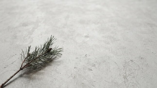 Minimal Pine Branch on Textured Gray Background.jpg