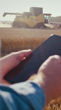 Farmer hands hold tablet while combine tractor cuts cereals