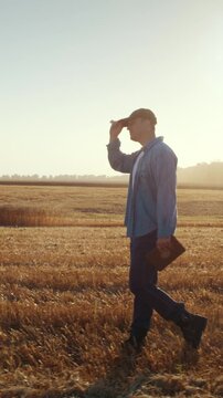 Farmer silhouette with tablet walks across field with cut crop