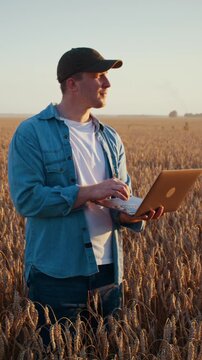 Farmer reviews laptop data while standing in vast wheat field