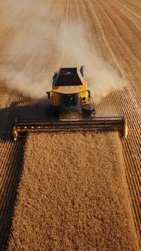 Combine harvests wheat last line in middle of golden field