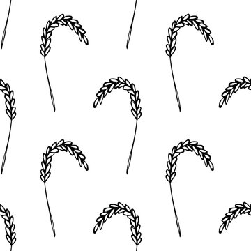 Seamless pattern with hand drawn cereal wheat oat rye barley rice ears spikelet Organic healthy food For decorative print, fabric, package, background