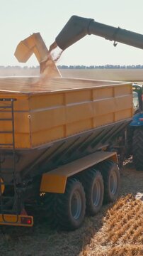 Combine unloads harvested grain into trailer near tractor