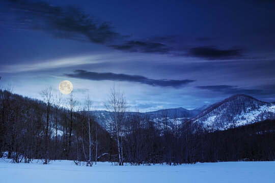 snowy meadow in birch forest. frozen winter night. beautiful nature landscape in mountains in full moon light. alpine wilderness background