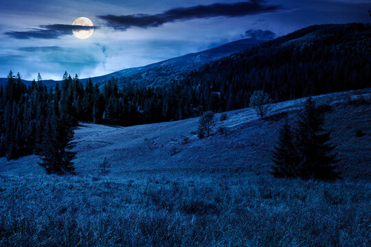 rural fields on rolling hills at night. full moon over green countryside scenery in early autumn. beautiful mountain landscape. backdrop for fiction art or mystery concept