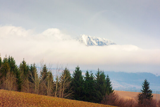 rural fields and trees near Tatra Mountains in autumn. beautiful view of countryside area. gorgeous mountain ridge with high rocky peaks on a cloudy day. fall season in Slovakia