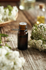 A bottle of essential oil with blooming yarrow or Achillea millefolium © Madeleine Steinbach