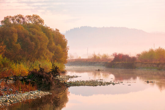 landscape in Carpathian mountains, deciduous forest and a river in front. beautiful morning scenery in autumn