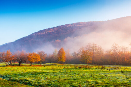 field in rural landscape at sunrise. beautiful nature scenery with colorful trees in morning light. clouds on the sky above the mountain in fog