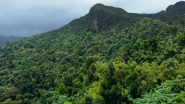 mountain landscape with trees- El Yunque