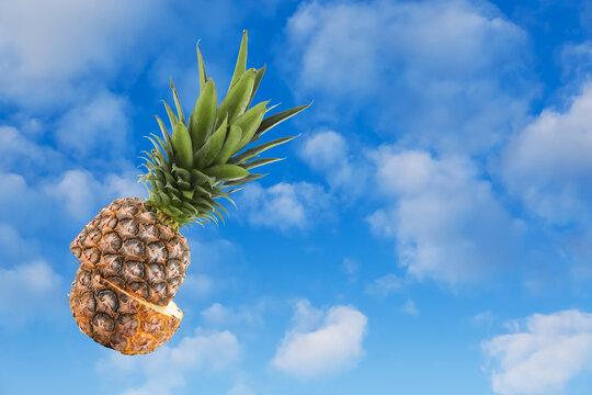 Sliced fresh pineapple in air against blue sky with clouds