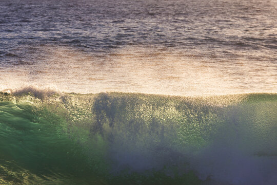 Wave