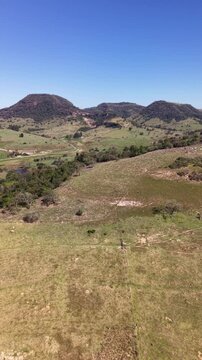 Aerial view of agricultural fields and pasture in a sunny day
