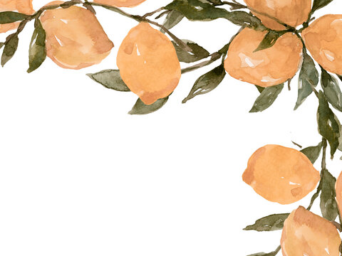 Watercolors fresh lemons and leaves corner border frame