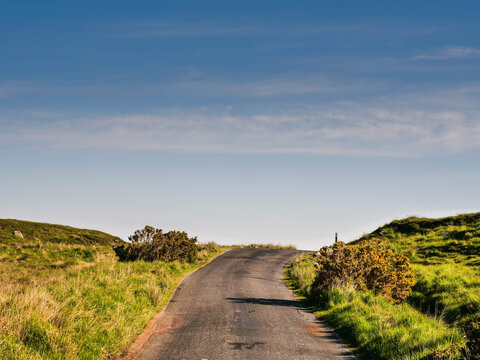 Winding gravel road cuts through rolling green hills under bright blue sky. Sunlight glints on path, casting soft shadows on grassy slopes. Landscape feels calm and open, inviting peaceful exploration