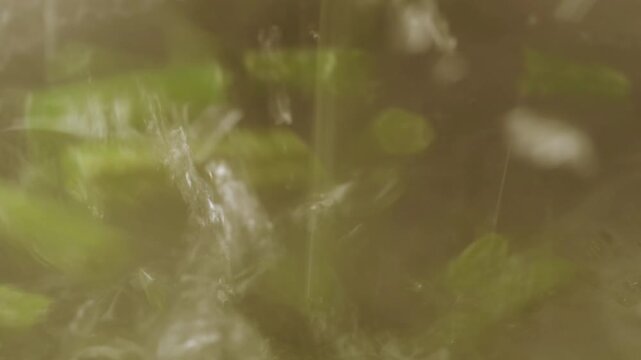Fresh green beans boiling in hot water inside pot