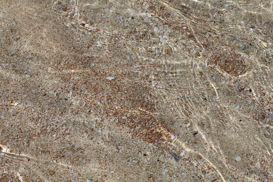 Clear shallow seawater with sun caustic light refractions over a sandy beach and small seashells, transparent water texture background