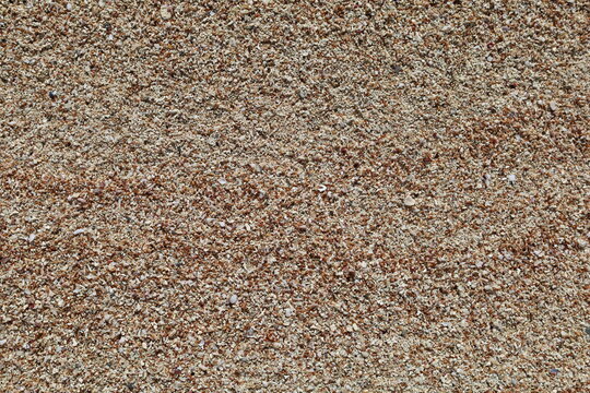 Close-up of tiny seashells and crushed coral sand on a beach shore, natural abstract coastal texture background
