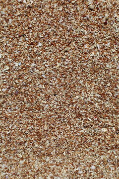 Close-up of tiny seashells and crushed coral sand on a beach shore, natural abstract coastal texture background