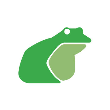 green frog on white background