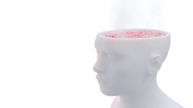 Boiling water inside head replacing brain for someone who is hot-headed or quick-tempered. Presented in minimalist style against white and green screen backgrounds. Animation Seamless loop, 3D Render.