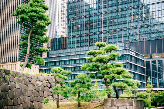 Modern scyscrapers in the centre of Tokyo, Japan.