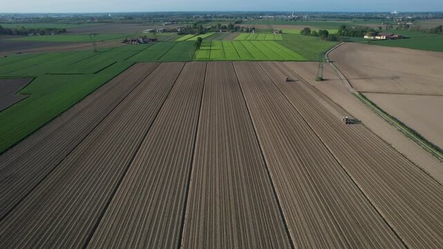 Drone captures tractors and farmworkers methodically planting tomato seedlings across expansive, freshly tilled farmland bordered by vibrant spring crops in slow motion