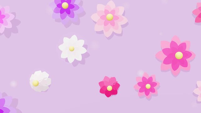Pastel paper flowers blooming on a lilac background in a loop