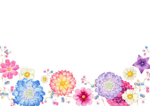 秋の花 植物　背景 フレーム　水彩 イラスト
