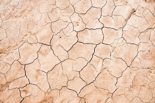 Cracked, dry soil, Canyonlands National Park, Utah, USA