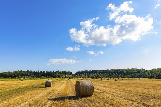 Straw bales on harvested field, near Massa Marittima, Tuscany, Italy
