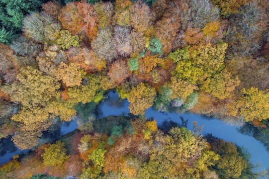 Aerial view of the Hunte in autumn, Meander, Hunte loop, Hunte, river, tree, forest, autumn colours, Huntepadd, D&ouml;tlingen, Lower Saxony, Germany