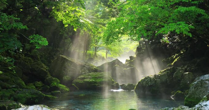 岐阜県にある円原川の清流にそそぐ光芒
