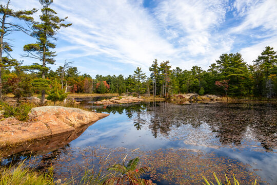 Serene autumn pond reflections on the Lighthouse Trail in Killarney, Ontario amid towering pines.