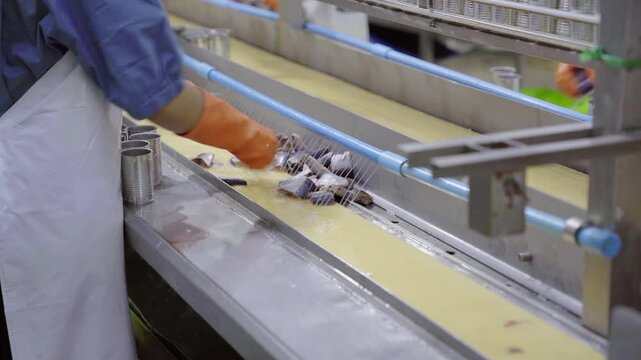 Seafood factory worker packing fish into cans along conveyor belt line