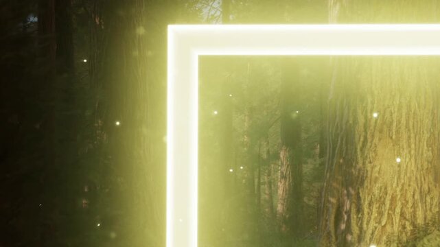 Bright neon frame shines in dark forest at night while tiny light particles float around large trees