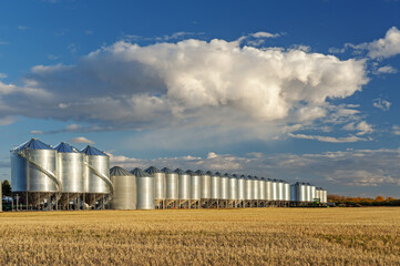 grain bins at edge of recently harvested zero till wheat stubble  field, near  Nipawin, Saskatchewan, Canada © Dave