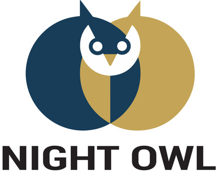Night Owl Modern Logo Design