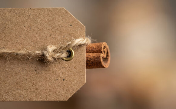 Blank brown cardboard gift tag tied with twine and cinnamon sticks for autumn holidays and cooking concepts