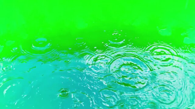 Top view of multiple raindrops falling into a shallow water puddle on a bright green screen background