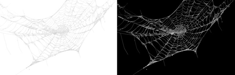Spooky spider web isolated on transparent background for halloween © kabeer