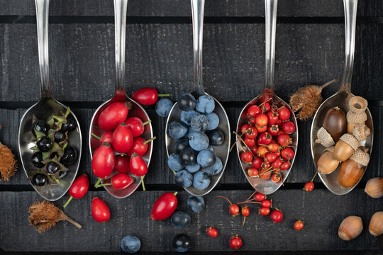 Five spoons are photographed from above. The spoons contain wild berries&mdash;some poisonous and some edible. The background is dark.