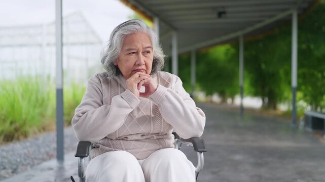 Softly lit path lined with greenery. Senior woman sits in wheelchair, thoughtful. Hand gently touches chin, eyes gaze forward. Quiet moment, peaceful