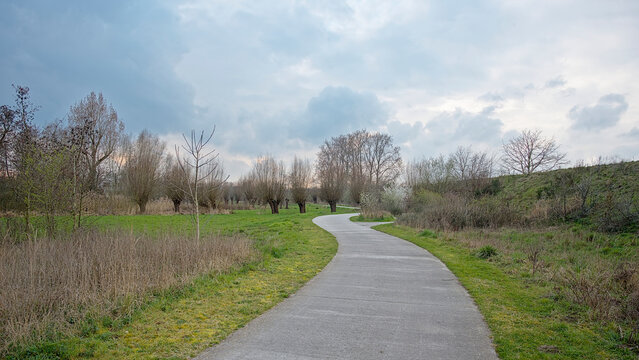 Curving bike road along pollarded willow trees in a rural landscape near Wondelgem and Ghent, Flanders, Belgium. The 