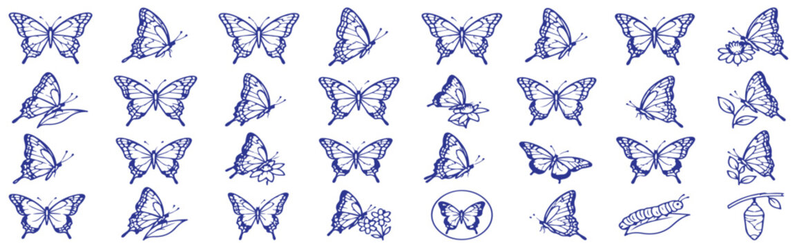 32 Butterfly Wings Vector Outline Icons Set &ndash; Wing Patterns, Veins, Symmetry, Insect Details and Butterfly Wing Design Line Symbols Collection